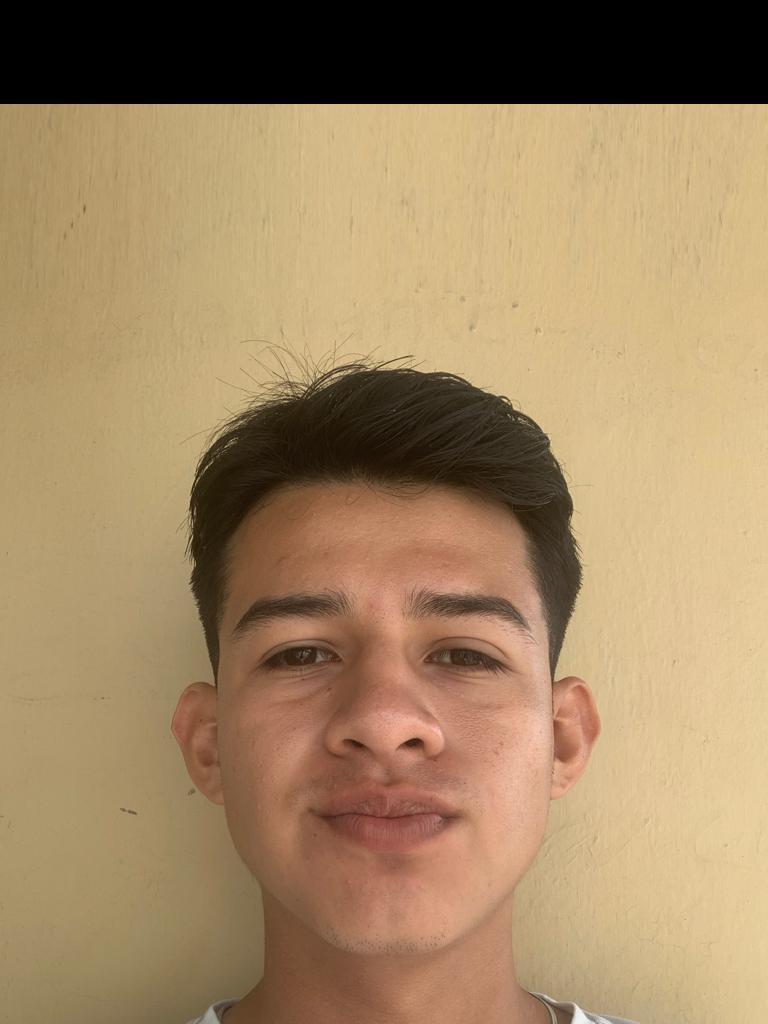 User Image