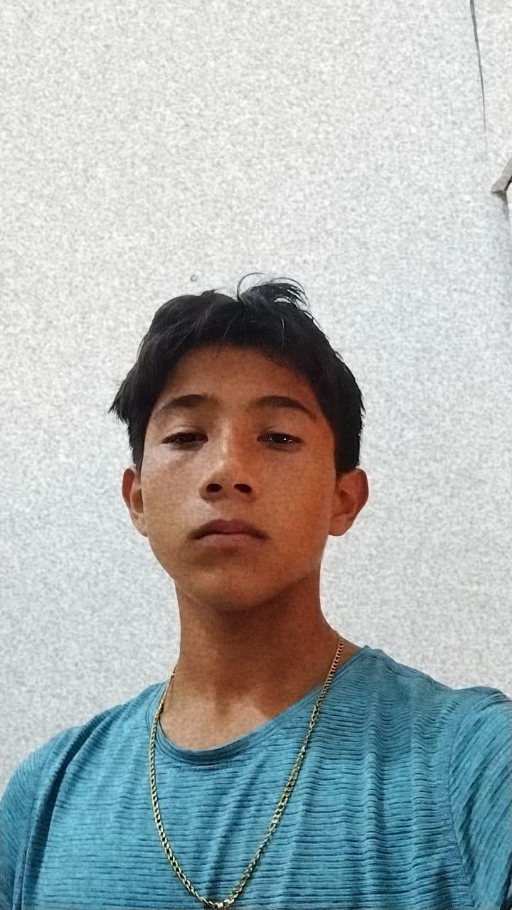 User Image